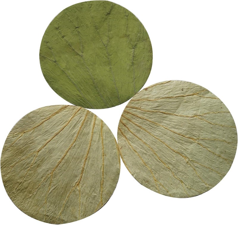 Rainlily Wen Dried Lotus Leaves Sushi Plate Decoration Round Shape 50 PCS Diameter for 8.5'' Food Wrapping Party Decoration Cooking Making Lo Mai GAI, Green - Image 1
